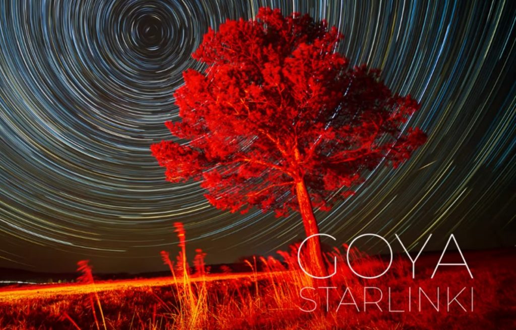 Goya Starlinki